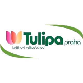 Tulipa Praha